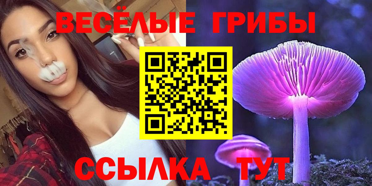 Галлюциногенные грибы Cubensis Химки