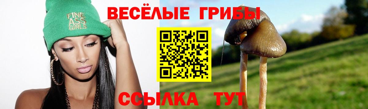 хочу наркоту  Галлюциногенные грибы Magic Shrooms  Вход с VPN  Химки  Галлюциногенные грибы GOLDEN TEACHER 